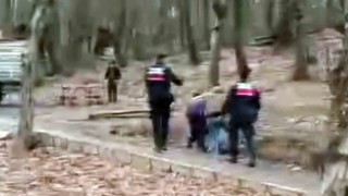 Tabiat Parkını tepeden tırnağa soydular