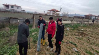 Tarım öğrencileri 200 zeytin fidanı dikti
