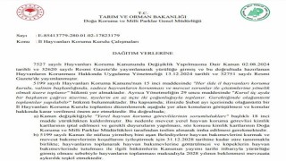 Tarım ve Orman Bakanlığı 81 il valiliğine sokak hayvanları için yazı gönderdi