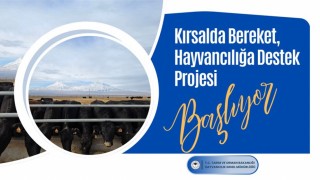 Tarım ve Orman Bakanlığından hayvan yetiştiricilerine gebe düve desteği