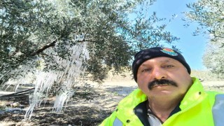 Tarsusta ağaçlarda buz sarkıtları oluştu