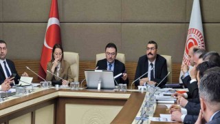 TBMM Kartalkaya Kayak Merkezindeki Otel Yangınını Araştırma Komisyonu 2nci kez toplandı