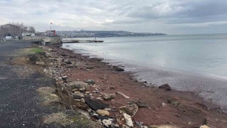 Tekirdağ kıyıları kızıl yosunla kaplandı