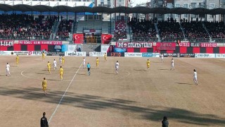 TFF 2. Lig: Vanspor FK: 2 - Menemen Futbol Kulübü: 2