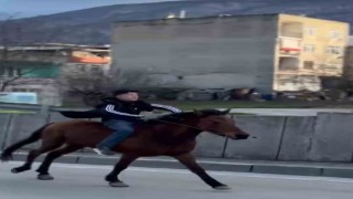 Trafiğe atla çıkan genç anayolda dört nala koştu