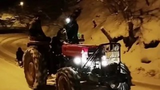Traktörün direksiyonuna geçen Sibirya kurdu, vatandaşlara kızak keyfi yaşattı