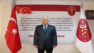 Türk Veteriner Hekimleri Birliği Merkez Konseyi Başkanı Eroğlu: Onlarca hayvanın toplu şekilde ölü bulunması skandaldır