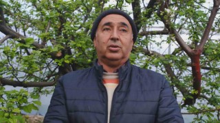 Türkiyede en erken erik hasadının yapıldığı Mersin, seralarıyla ihracat talebine yetişemiyor