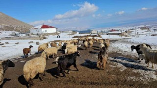 Türkiyenin en yüksek rakımlı köyü Kışkılı, dron görüntüleriyle hayran bıraktı