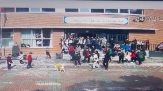 Ümraniyede okul bahçesinde köpek dehşeti: 5 öğrenciyi ısırdı