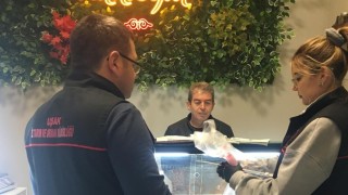 Uşak İl Tarım ve Orman Müdürlüğünden sıkı denetim