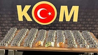 Üstlerinde sahte dövizle yakalanan 2 şahıs tutuklandı