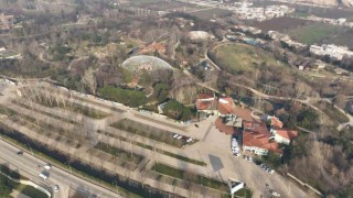 Uykusu kaçan ayılar, 9 kiloluk levrekleri afiyetle midelerine indirdi
