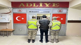 Vanda 5 düzensiz göçmen yakalandı