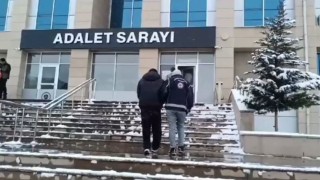 Vanda 6 organizatör tutuklandı