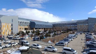 Vanda hasta sevk oranlarında büyük düşüş yaşandı