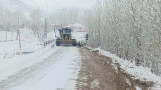 Vanda kar yağışı: 264 yerleşim yerinin yolu kapandı