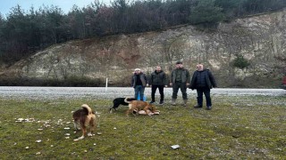 Vezirköprülü avcılar, yaban hayvanlarını besledi