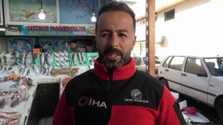Yakaladığı 100 kiloluk kılıç balığını 40 bin TLye sattı
