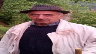 Yaşlı adamın cesedi yol kenarında bulundu