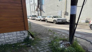 Yerlere çöp atanlara kızdı, sokaktaki direklere ve duvarlara bakın ne yazdı