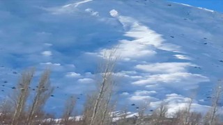 Yüksekovada düşen çığ görüntülendi