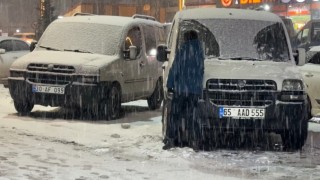 Yüksekovada lapa lapa kar yağışı başladı