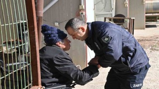 Zabıta memurunun örnek davranışı kalplere dokundu