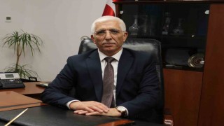 Zeytin üreticisine 800 milyon lira ödeme