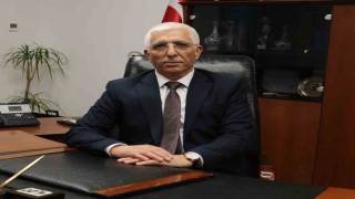 Zeytin üreticisine 800 milyon lira ödeme