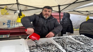 Zonguldakta hamsi 100 liradan alıcı buldu