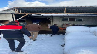 Zonguldakta şap nedeniyle bir köyde karantina uygulaması başlatıldı