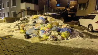 Zonguldakta toplanmayan çöpler tepkilere neden oldu