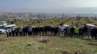 1 Mart anısına hatıra ormanı oluşturuldu