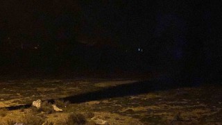 2 yaşındaki çocuk köpeklerin saldırısı sonucu hayatını kaybetti