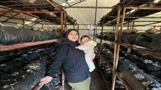 4 çocuk annesinin azmi: Yıllık 35 ton mantar üretiyor, talepleri karşılayamıyor