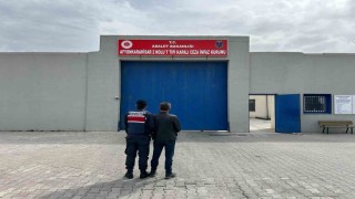 5 yıl hapis cezasıyla aranan şahsı jandarma yakaladı