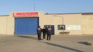 7 yıl 8 ay hapis cezasıyla aranan şahsı jandarma yakaladı