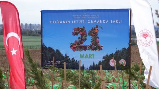 Adana’da Dünya Ormancılık Günü’nde Fidan Dikim Etkinliği Düzenlenecek
