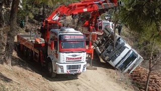 Adana'da Tomruk Yüklü Kamyon Şarampole Devrildi: Sürücü Yaralı