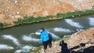 Adıyaman Belediyesinden larva mücadelesi