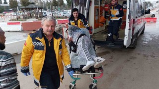 Akaryakıt istasyonunda bıçaklı saldırıya uğrayan genç yaralandı