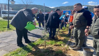 Alaşehirde 400 fidan toprakla buluştu