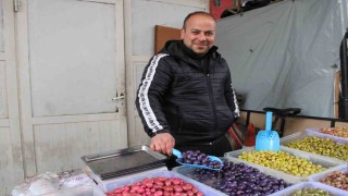 Altı aylık zahmetin ürünü mor ve pembe zeytinler vatandaşların ilgisini çekiyor