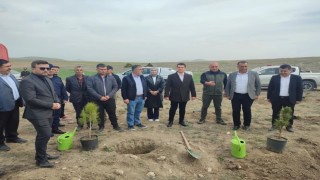 Altıntaşta Okul Hatıra Ormanı etkinliği