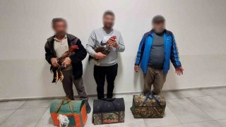 Antalyada dövüşe hazırlanan horozlar muhafaza altına alındı
