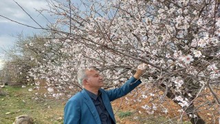 Arabana bahar erken geldi