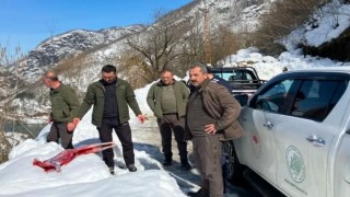 Artvinde kaçak avcılar suçüstü yakalandı
