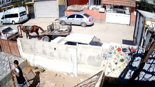 At arabasıyla geldi, demir korkuluğu alarak kayıplara karıştı