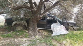 Aydında trafik kazası: 1 ölü